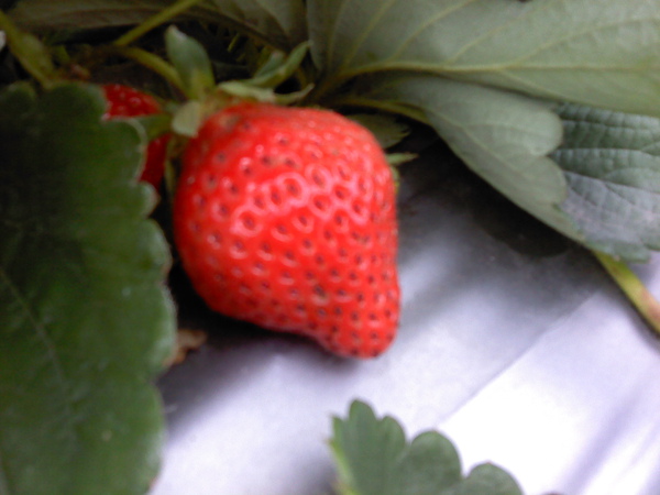 P210210_11.06.jpg P210210_11.06.jpg