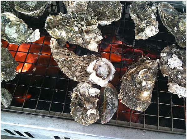 nEO_IMG_11.jpg nEO_IMG_11.jpg