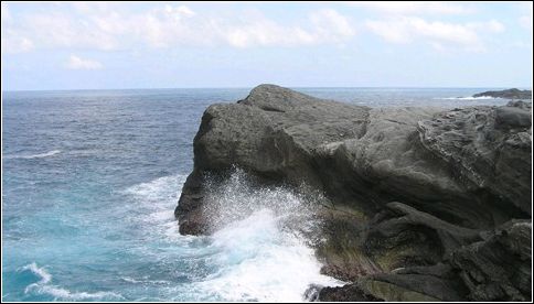 nEO_IMG_33.jpg nEO_IMG_33.jpg