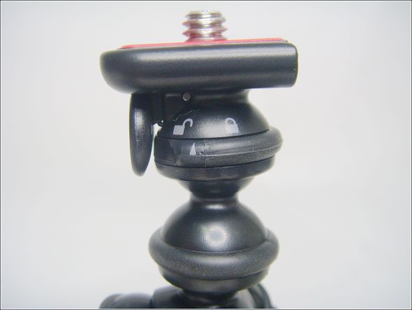 ST830142.JPG ST830142.JPG