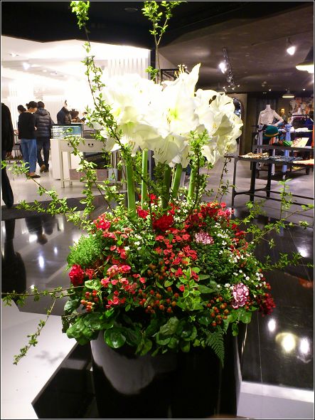 nEO_IMG_DSC_0034.jpg nEO_IMG_DSC_0034.jpg