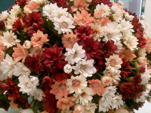 CAM_0024.jpg CAM_0024.jpg